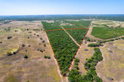 Undeveloped Land in Bee County, Texas