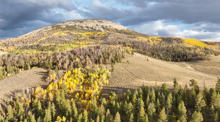 Hunting Land in Gunnison County, Colorado