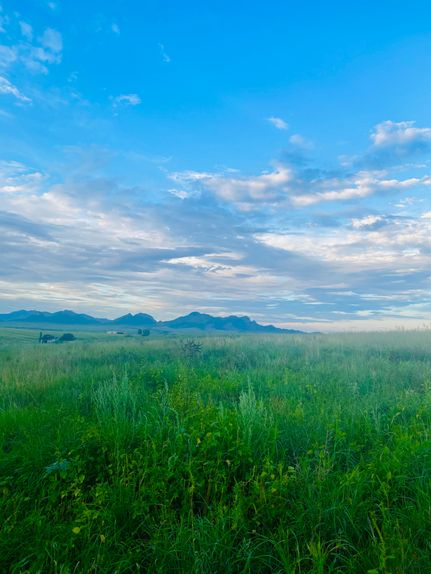 Farm Property for sale in Santa Cruz County, Arizona