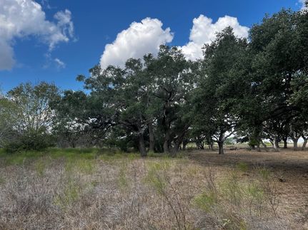 Farm Property in Dewitt County, Texas