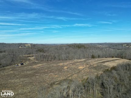 Undeveloped Land in Nicholas County, Kentucky