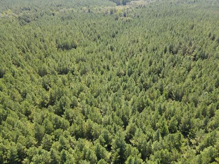 Farm Property in Clarke County, Mississippi
