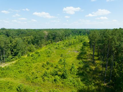Farm Property in West Feliciana Parish, Louisiana