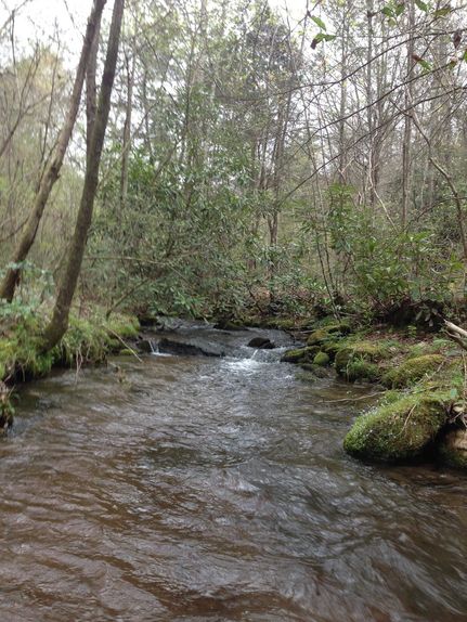 Undeveloped Land for sale in Cherokee County, North Carolina
