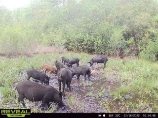 Recreational Property for sale in Madison County, Florida