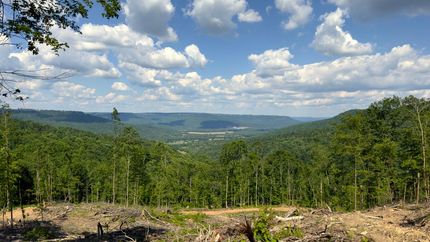 Property in Marion County, Tennessee