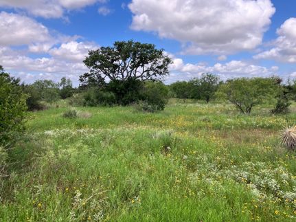 Ranch Property in McCulloch County, Texas