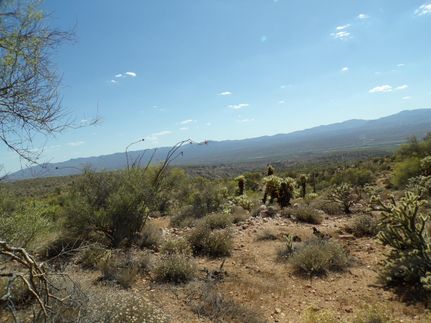 Farm Property in Mohave County, Arizona
