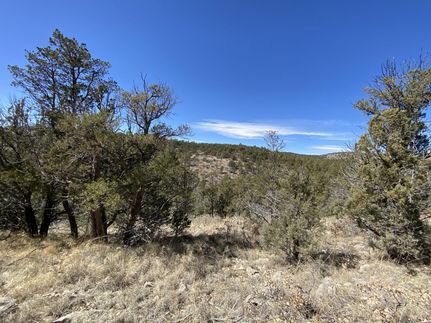 Farm Property in Otero County, New Mexico