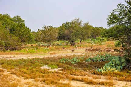 Farm Property for sale in Crockett County, Texas