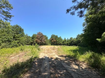 Farm Property in Wayne County, Mississippi