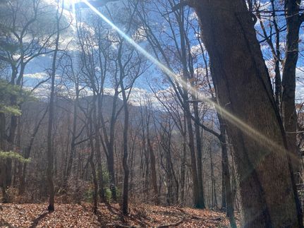 Property in Haywood County, North Carolina