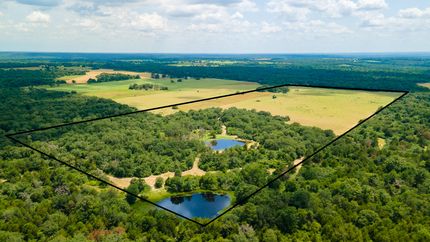 Horse Property in Leon County, Texas