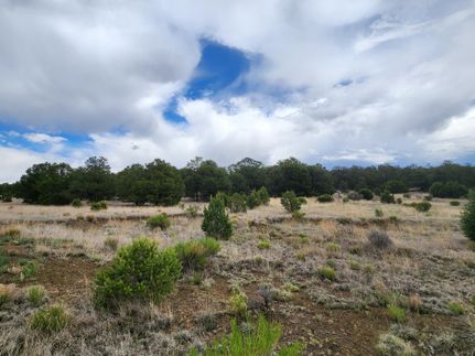Recreational Property for sale in Catron County, New Mexico