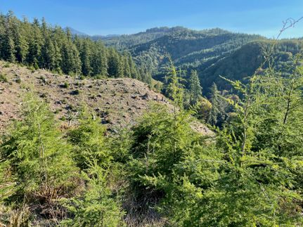 Property in Tillamook County, Oregon