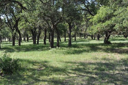 Recreational Property for sale in Kimble County, Texas