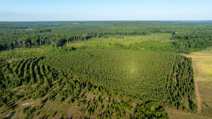 Hunting Land in Macon County, Georgia