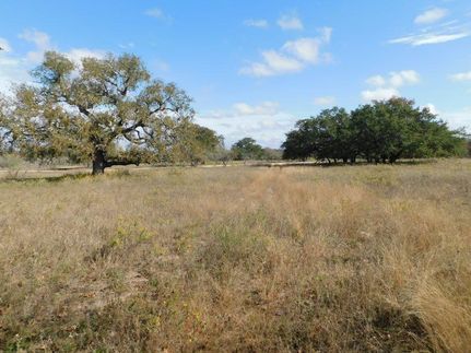 Undeveloped Land for sale in Medina County, Texas