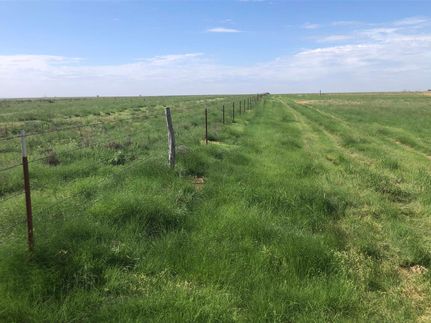 Farm Property in Castro County, Texas