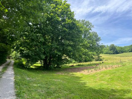 Undeveloped Land in Barren County, Kentucky