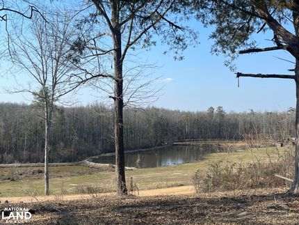 Property in Tuscaloosa County, Alabama