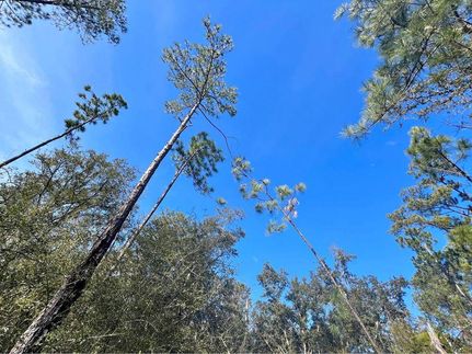 Property for sale in Jackson County, Florida