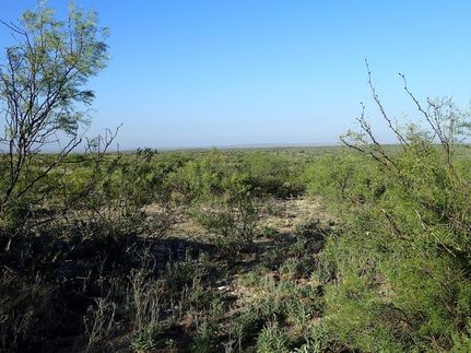 Ranch Property for sale in Terrell County, Texas