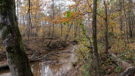 Undeveloped Land in Elmore County, Alabama
