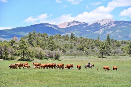 Horse Property in La Plata County, Colorado