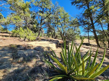 Farm Property for sale in Cibola County, New Mexico
