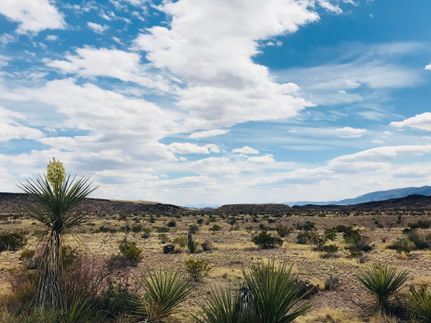 Farm Property in Hudspeth County, Texas