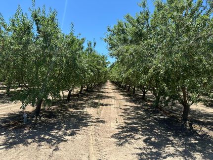 Farm Property in Fresno County, California