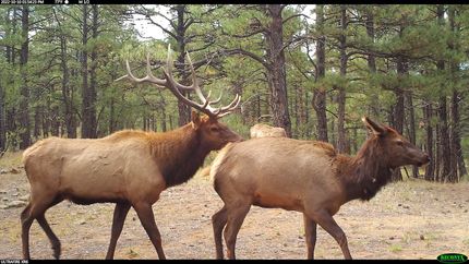 Ranch Property in Las Animas County, Colorado
