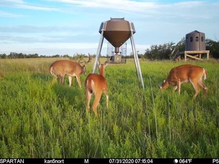 Ranch Property in Kingman County, Kansas