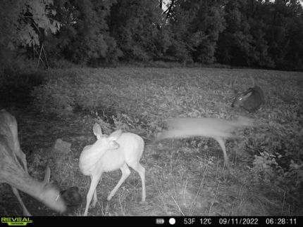 Recreational Property in Mercer County, Missouri