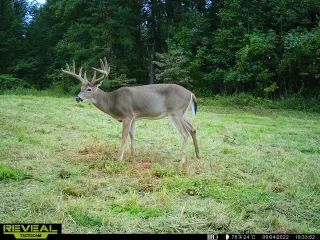 Farm Property in Meigs County, Ohio