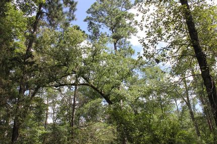 Property for sale in Polk County, Texas