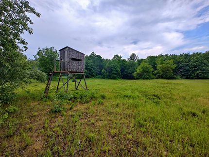 Farm Property in Manistee County, Michigan