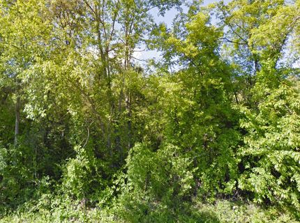 Property in Macon County, North Carolina