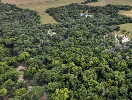 Hunting Land for sale in Ellis County, Texas