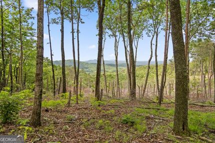 Farm Property for sale in Gilmer County, Georgia