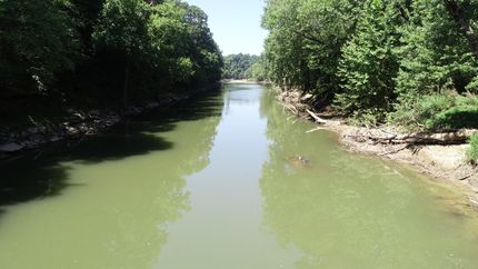 Timberland Property in Hart County, Kentucky