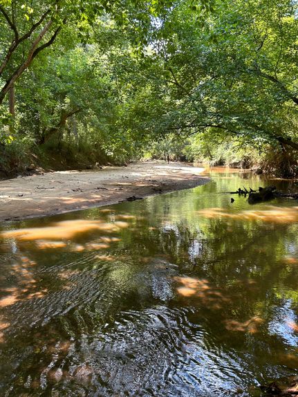 Farm Property in Chesterfield County, South Carolina