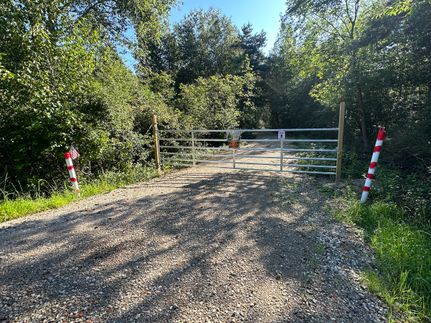 Timberland Property in Sanilac County, Michigan