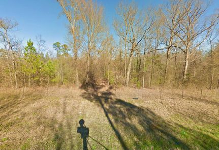 Undeveloped Land in Marion County, Texas