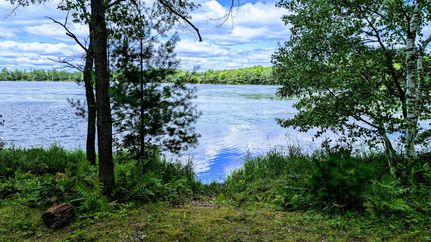 Undeveloped Land in Chippewa County, Wisconsin