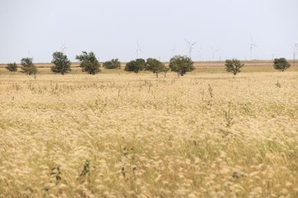 Farm Property in Hale County, Texas