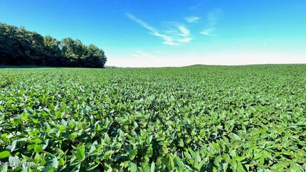 Farm Property for sale in Haywood County, Tennessee