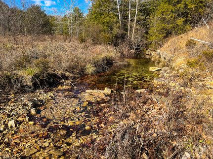 Recreational Property in Ozark County, Missouri
