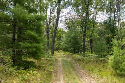 Hunting Land in Lake County, Michigan